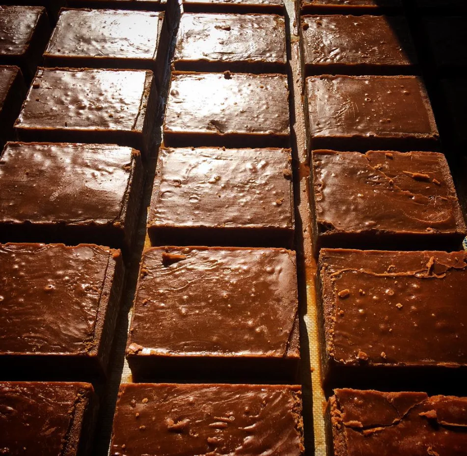 Close-up of panela portions in rectangular molds.